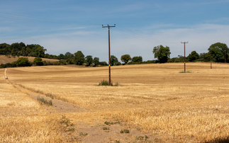 Met Office confirms summer 2026 was UK's hottest on record