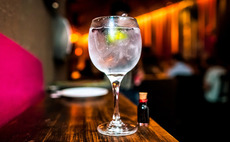 HIG acquires Spanish gin distillery Puerto de Indias in MBO