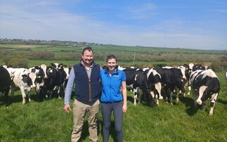 Health monitoring technology helps Welsh dairy farm drive down antibiotic use