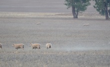  Bushwhacker says farming has been doing it tough lately. Picture Mark Saunders.