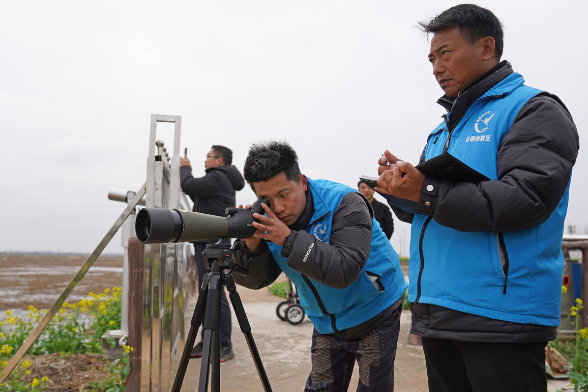From bird chaser to bird protector: the ecological logic behind villagers' roles at China's largest freshwater lake
