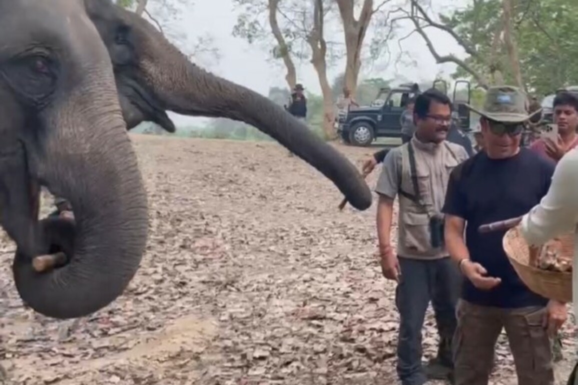 'Master Blaster' Sachin Tendulkar enjoys his time at Kaziranga National Park; feeds elephants, enjoys jeep safari