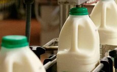 UK Dairy Day: Consumers 'would not notice' 10ppl price rise