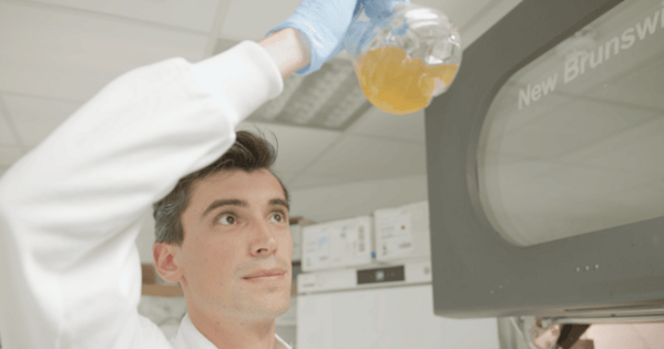 'Breakthrough': Scientists use bacteria to turn plastic waste into paracetamol