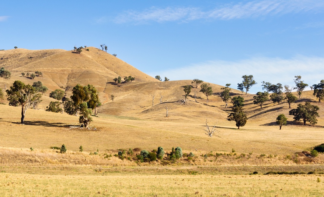 New resources are now available online via the Victorian Drought Hub.