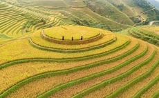 Deal focus: Change at the margins for Proterra Asia