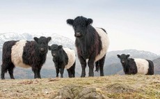 Building agricultural brands will boost profits at the farmgate