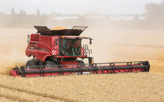 Dry harvest prompts rethink of post-harvest soil plans