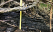  Vanadium-bearing shale outcropping in Sweden.