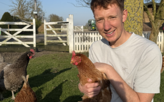 Local egg finder map helps crack down on food miles