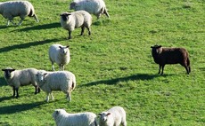 Secondary buyouts: black sheep of the industry?