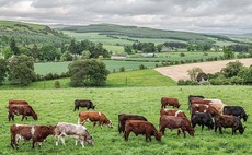 Tenants' fears as National Trust announces cost saving measures