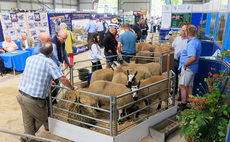 NSA Malvern Preview: Sustainable sheep sector focus of NSA flagship event   