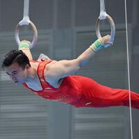 Two-time Olympic champion Liu Yang wins third straight rings national title