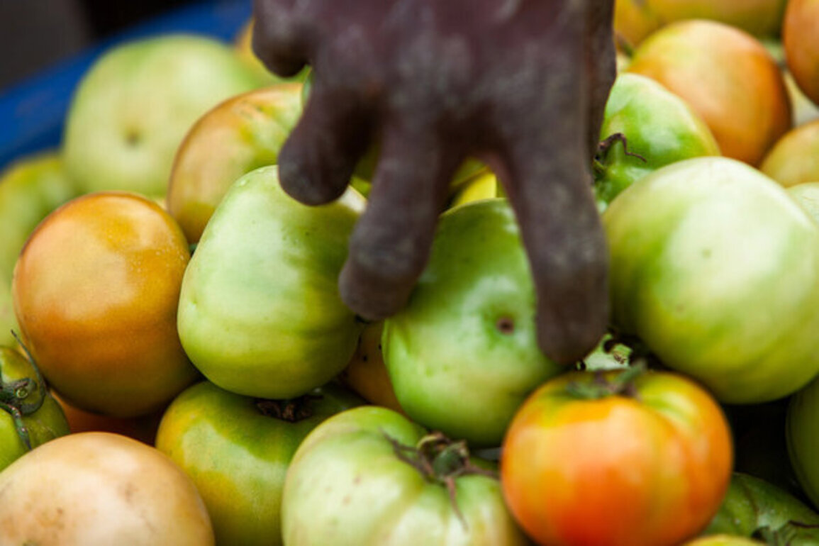 Measures at Ensuring Africas Food Sovereignty
