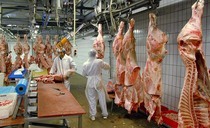 UK's 'fragile' food system exposed by £5bn influx of meat imports in 2025, report reveals