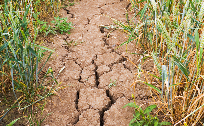 A new Climate Change Committee warns farmers will need support to deal with higher temperatures and water shortages