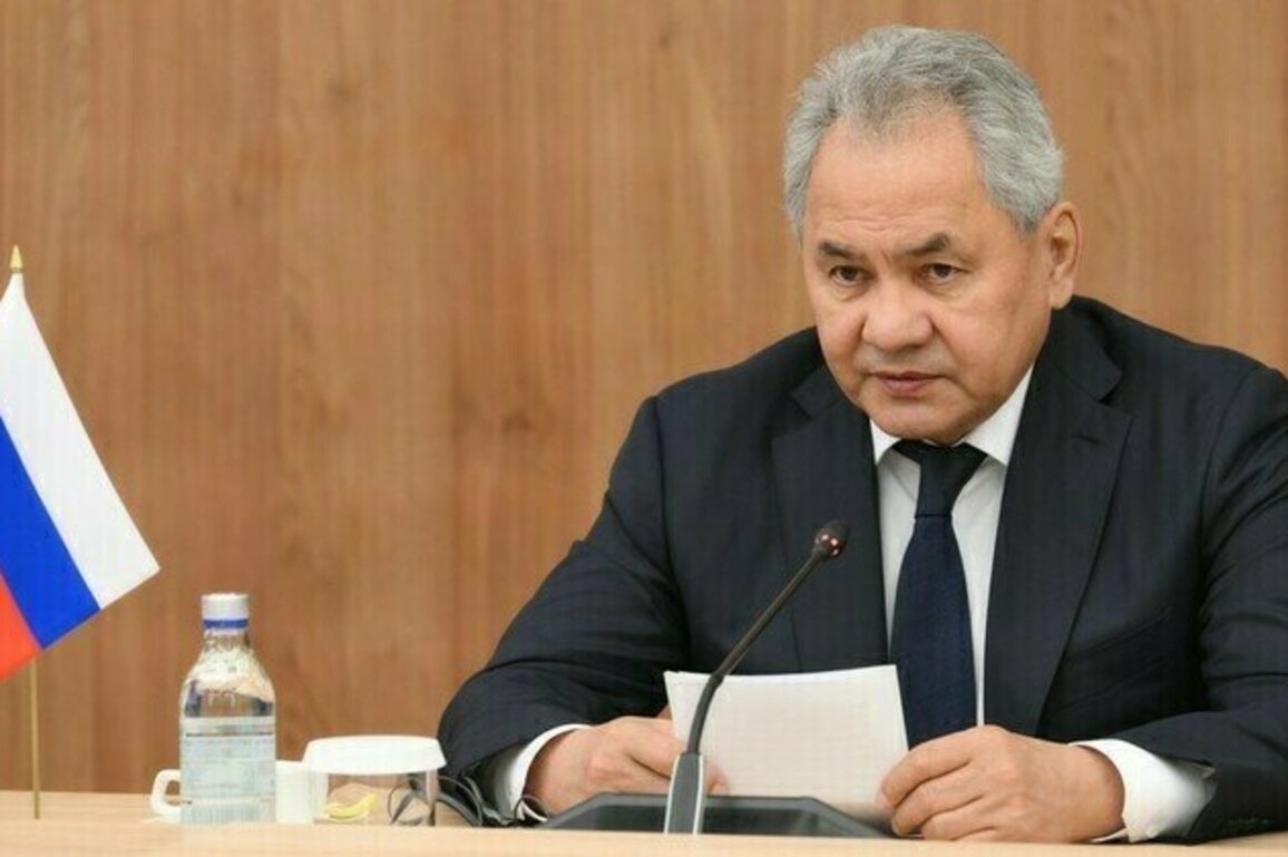 Russia ready to assist Taliban  Shoigu