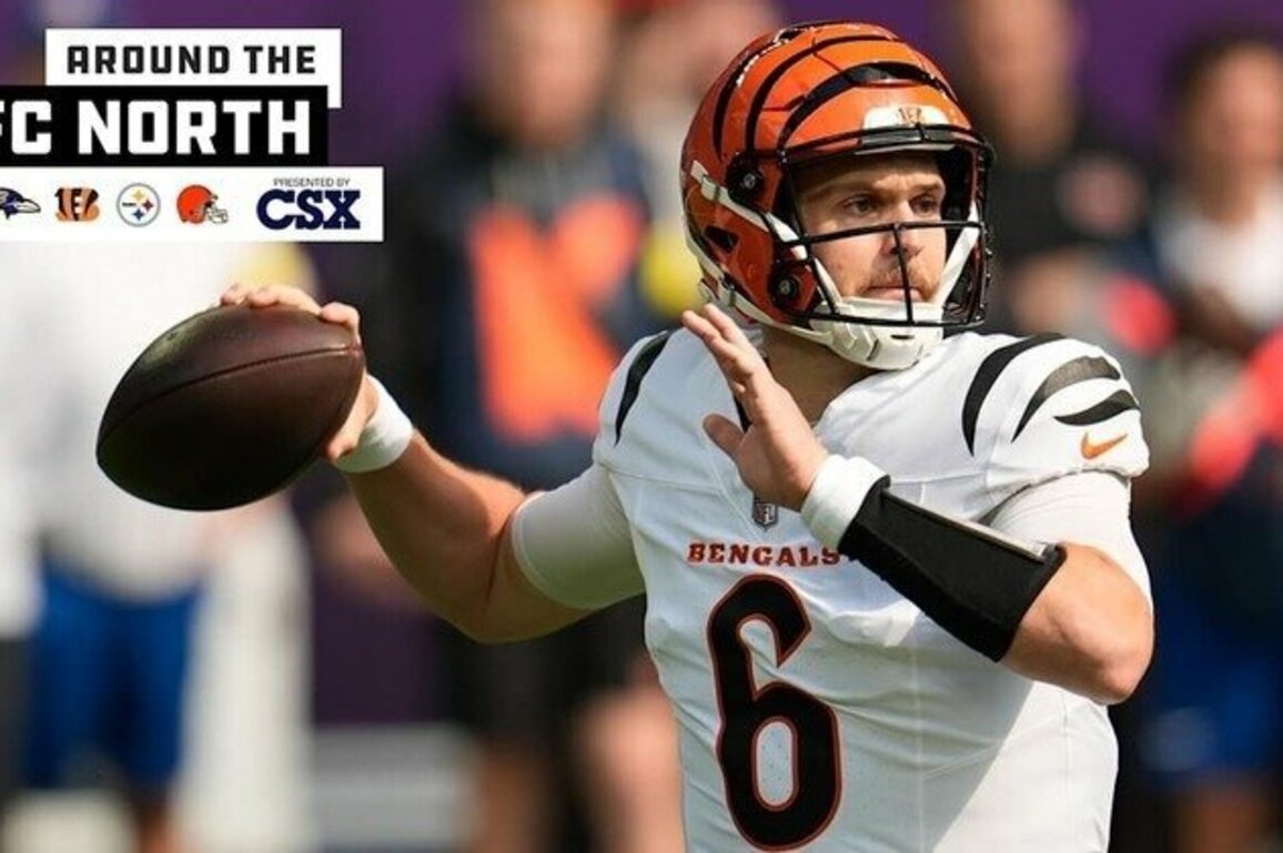 Around the AFC North: Bengals Offense Struggles Without Joe Burrow