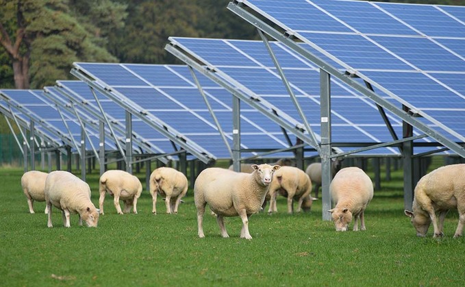 Farmers look to renewables
