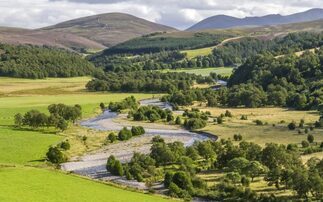 Cairngorms National Park fire ban comes into place