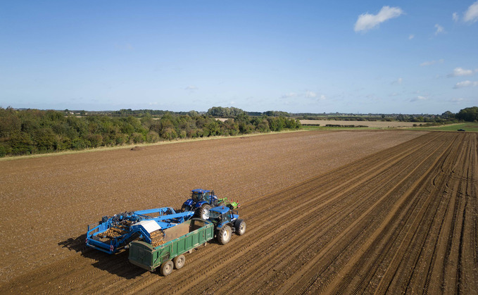 Daryl Shailes talking roots: "Potato yields have held up on all but the lightest of soils"