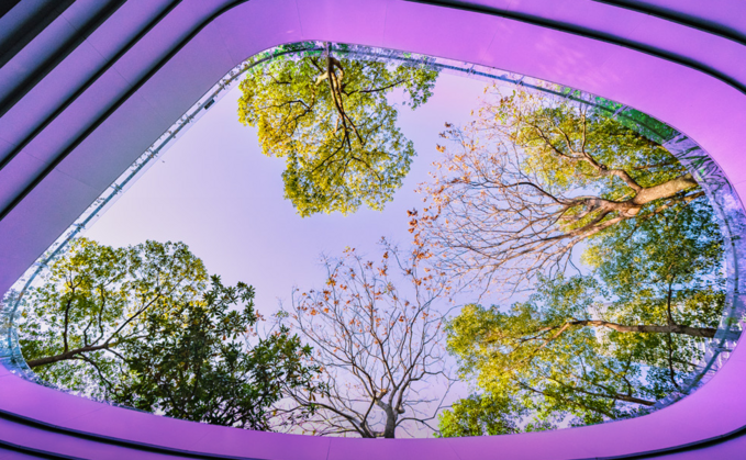 Partner Insight: Can stewardship shape real world outcomes for pension funds?