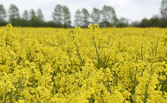 EU seeks to block imports grown with banned neonicotinoids
