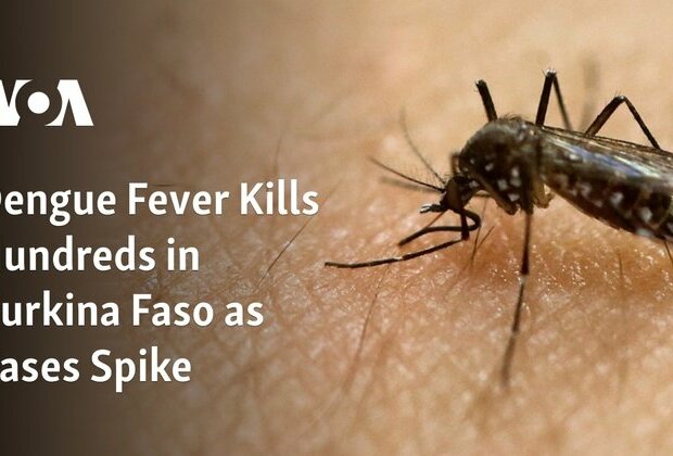 Dengue Fever Kills Hundreds in Burkina Faso as Cases Spike