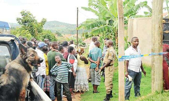 CSI: Search for banker's killers continues CSI: Search for banker's killers continues