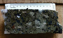 Elevated gold grades associated with galena and pyrite in core from Segovia