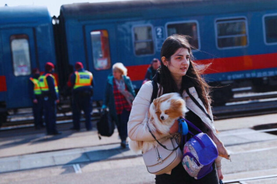Dutch Cities Overwhelmed: No More Room for Ukrainian Refugees