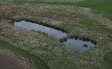 Research highlights role of sediment ponds in boosting nature, biodiversity and flood alleviation on-farm