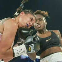 The anatomy of fight-ending blows and chokes in combat sports