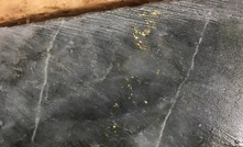 Visible gold in core