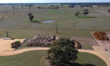  Trial mining, Koppamurra, SA