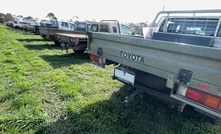 Utes accounted for the top two places in national vehicle sales in August.