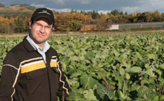 Sheep special: Feeding kale continues to deliver for Scottish estate
