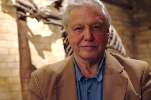 David Attenborough marks 100th birthday with tributes, new species named in his honour