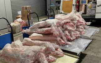 Port officials seize six tonnes of illegal meat in just two days