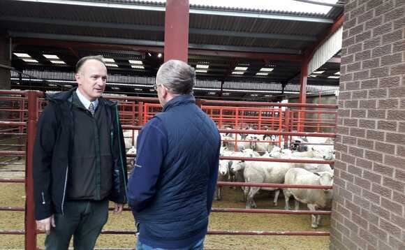 2001 UK foot-and-mouth outbreak - 25 years on: "Infectious diseases do not respect borders or species barriers, and we ignore this at our peril"