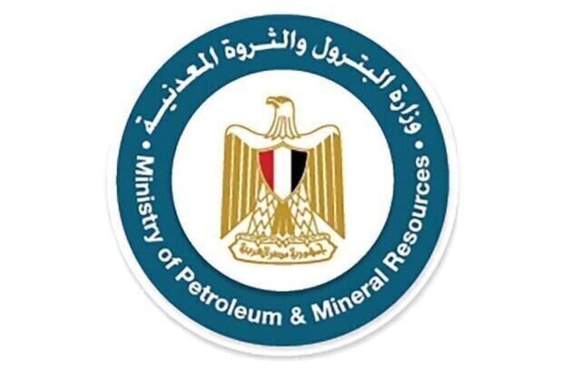 New oil well begins production in Egypt's Gulf of Suez