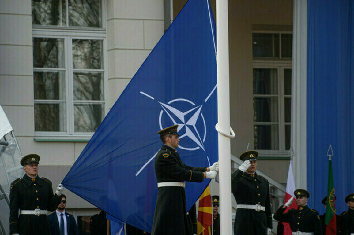 NATO rocked by corruption scandal