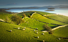 OPINION: Grass envy and good Guinness 