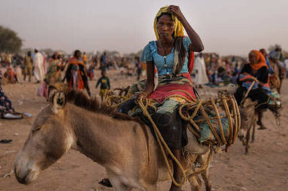 Sudan war triggered world's largest displacement crisis - UN