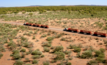  Mineral Resources has successfully run an automated road train platoon with each road train hauling 300 tonnes of iron ore.