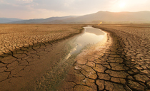 Farmer fined for taking 'more water than necessary' during summer drought