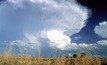 Weather disrupts WA sheep, grain farmers