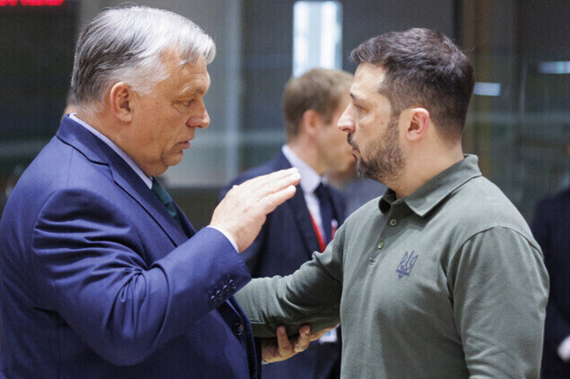 Kiev crossed a line  Orban