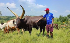 Ag in my Land: Ugandan farmer shares story across the world